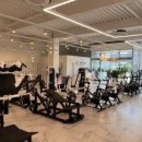 킹덤장어 이미지