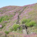 허영근약국 이미지