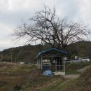 벌교원동 이미지