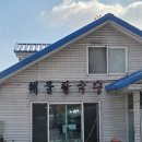 강화동로 | [강화 심애선해물칼국수] 강화도 현지인 맛집 내돈내산 솔직후기