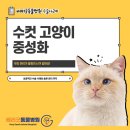 베리굿동물병원 이미지