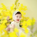 스튜디오하우스 이미지