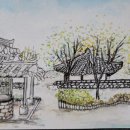 일상을 그리다 어반스케치 이미지