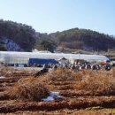 동곡리마을회관 이미지