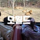 (주)프리것버드 | 대전 아이랑 가볼만한곳 ㅣ 대전 오월드 할인 웨건대여 푸드코트 사파리 이용꿀팁까지 내돈내산 솔직후기