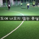 능평레포츠공원 풋살장 이미지