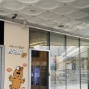 탕리도닭 이미지