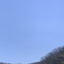 감나무목장 네이버블로그