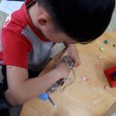 신안초등학교 병설유치원 이미지