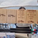 초록도마뱀 이미지