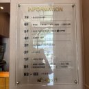 마담포라 | 강남 웨딩케어 / 경락 효과 :: 세스티끄 학동점 VL-CHANGE-윤곽관리 경락 가격, 무보정 후기