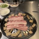 내껍데기돌리도! | 마산 합성동 구워주는 고기집, 내껍데기돌리도 | 내돈내산 후기