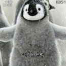 진사농장 이미지