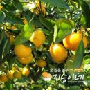 지승농장 이미지