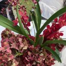 신기축사 | 친구 결혼식 축사한 썰 푼다 :: 세종 휴휴당 한옥펜션