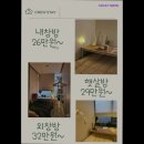 스테이코지 네이버블로그