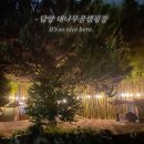 대나무골 | 광주 근교 캠핑장 전남 담양 대나무골 캠핑장 사이트 추천 솔직 후기