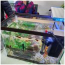 우리사랑재가센터 이미지