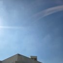 부산애견 | 하이멍에서 강아지랑 할로윈 즐기기 / 부산애견카페 &amp; 부산애견운동장 후기