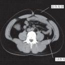 돌고래PC 이미지