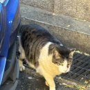 신천리 복지회관 3가 2 | 오라, 달콤한 죽음이여