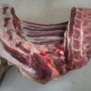 알콩달콩 흑염소 농장 이미지