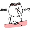 조선생 펫살롱 이미지