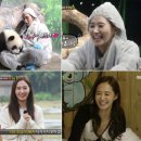 애니멀즈 이미지