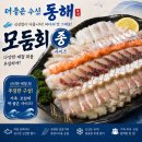 동해시횟집 <더좋은수산> 모듬회 푸짐했던 동해물회 맛집 후기