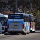 역삼-1271 이미지