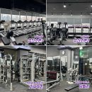 1981골프앤휘트니스 이미지