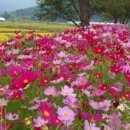 삼한세탁 이미지