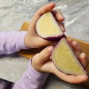 노란옥수수 | [ 강원 강릉 ] 강문해변에 있는 귀여운 구황작물빵 솔직후기! << 강릉 옥수수빵 >>