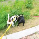 섬말공원2 이미지