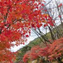 순창군 종합관광안내소 이미지