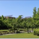 새솔학교 이미지