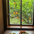 난산리-10 이미지