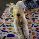 소예한의원 | 7월 마지막 기록