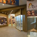 송이밸리자연휴양림 이미지