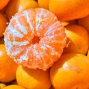 꽃내음하우스 이미지