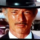 허리우드 이미지