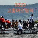 월정방풍림 이미지