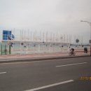 돌고래회식당 이미지