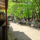 좋은하루민박 | 청도독채펜션 산속에서 진짜 쉬고 왔어요, 가족모임으로 딱이었던 산나들이펜션 후기