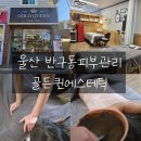 씨유울산반구골드점 | 울산 반구동피부관리 골든퀸에스테틱 : 독소배출과 혈액순환에 도움되는 해초팩 등관리 받았습니다.