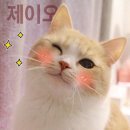 (주)제이오 이미지