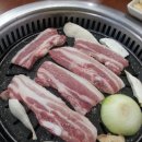 보성녹돈 이미지