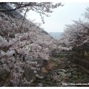 하백목장 이미지