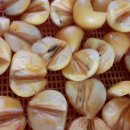 (주)참농부
