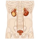 암 커져도 증상조차 없다…10년 뒤에도 재발할 수 있는 이 암 이미지